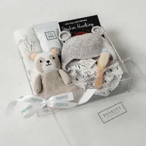 Baby Bear New Baby Gift Basket