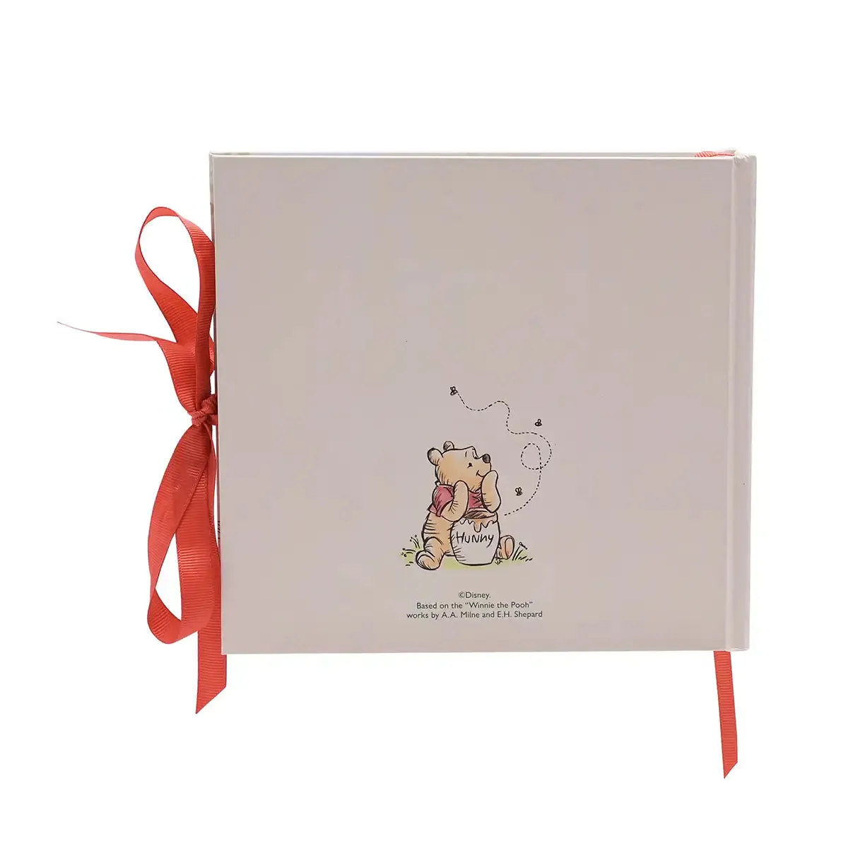 Disney Winnie the Pooh Photo Album