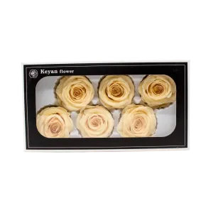 FOREVER ROSES 6PCS CHAPAGNE 6CM