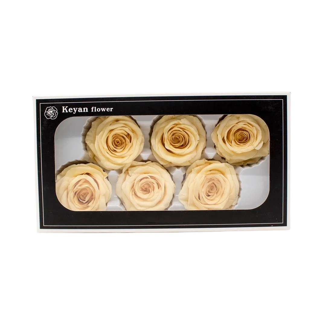 FOREVER ROSES 6PCS CHAPAGNE 6CM