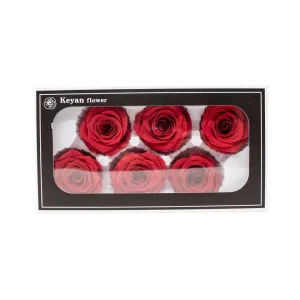 FOREVER ROSES 6PCS RED 6CM