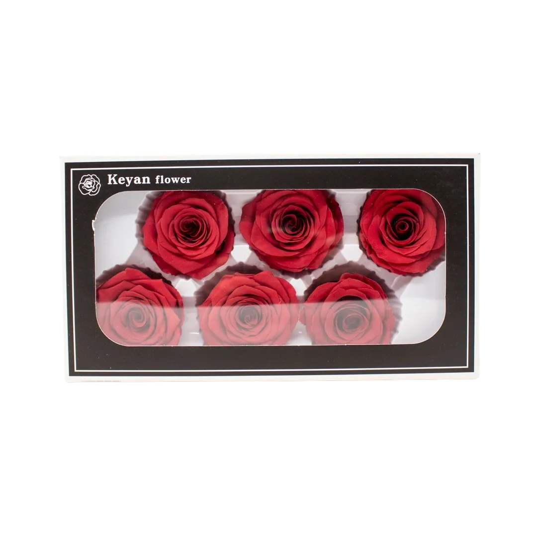 FOREVER ROSES 6PCS RED 6CM