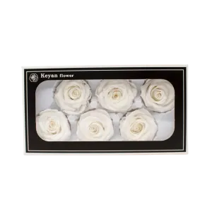 FOREVER ROSES 6PCS WHITE 6CM