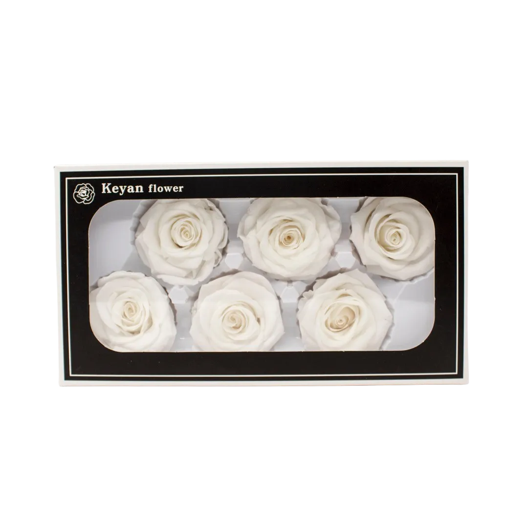 FOREVER ROSES 6PCS WHITE 6CM