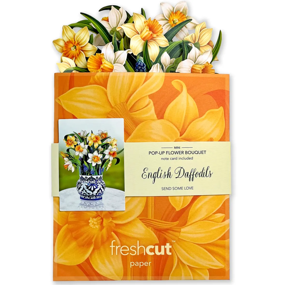 Fresh Cut Paper 3D Pop Up Flower Greeting Note Card – English Daffodil – 6" x 5"