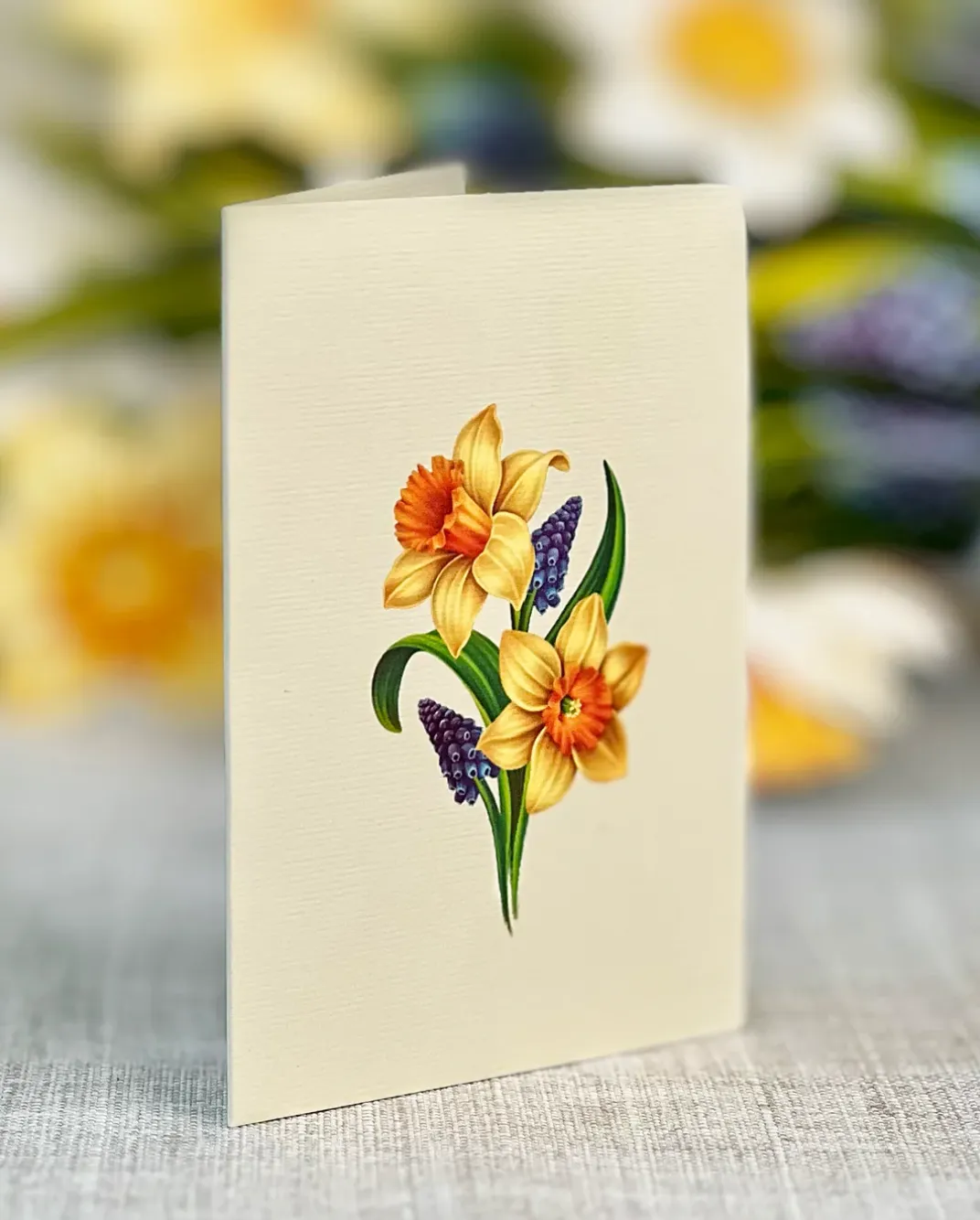 Fresh Cut Paper 3D Pop Up Flower Greeting Note Card – English Daffodil – 6" x 5"