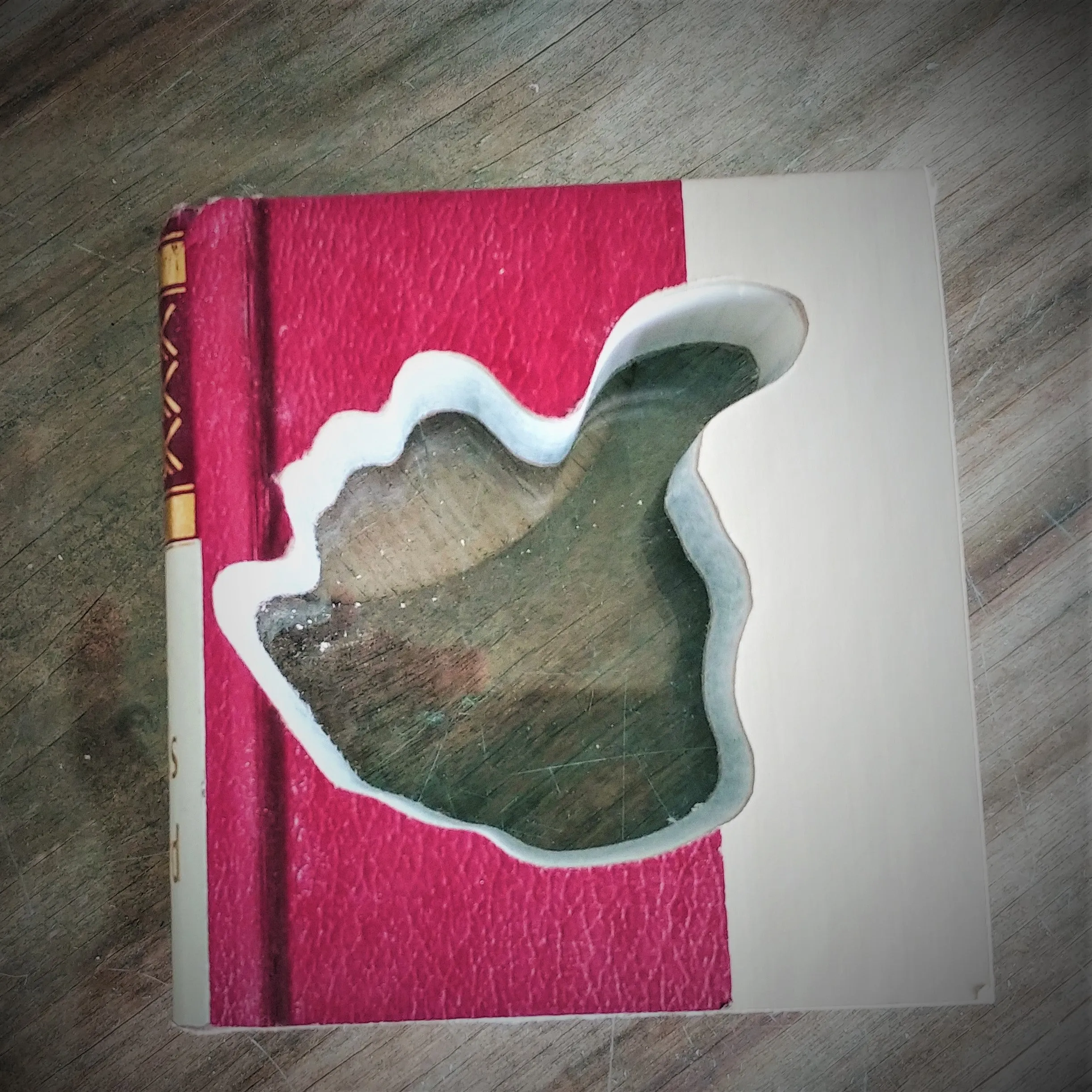 Mini Cutout Book - Gig'em Aggie