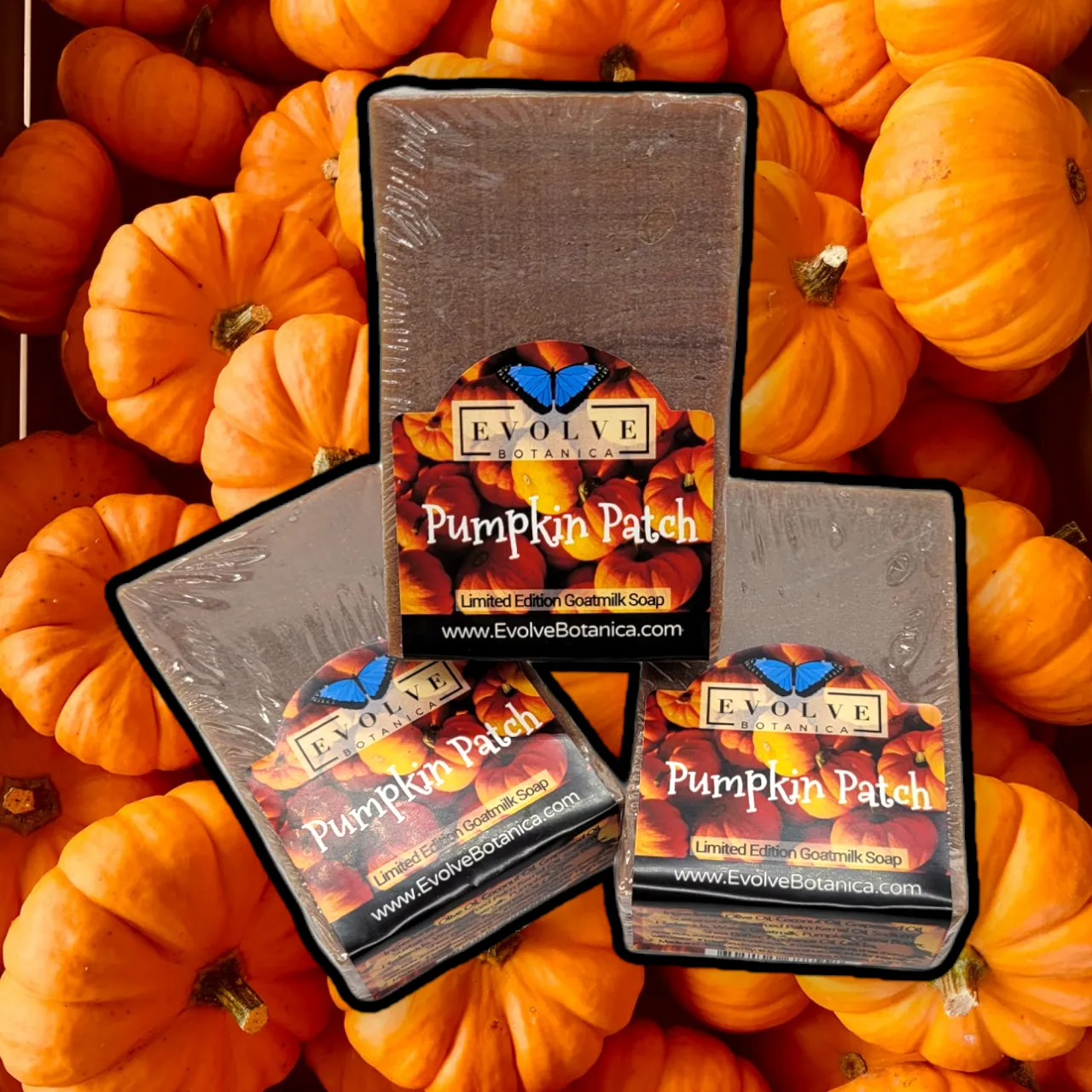 Standard Soap - Pumpkin Patch (Seasonal)